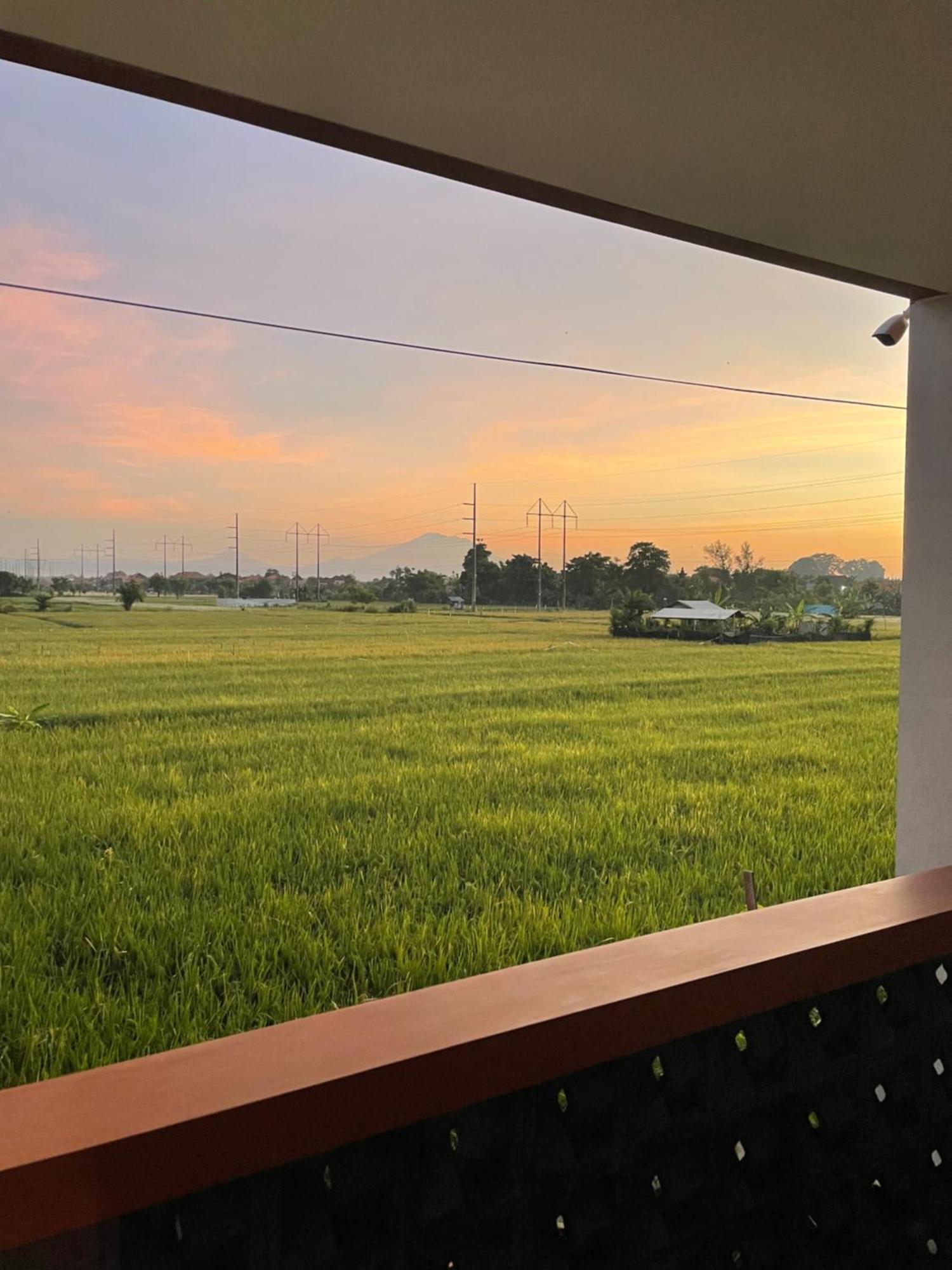 Entire Modern House With Ricefield View And Private Garage * Sanur
